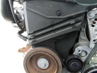 защита (кожух) ремня ГРМ Renault Twingo 2 поколение [рестайлинг] 2011, 1.5 л., дизель, МКПП