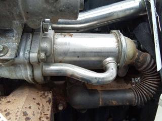 охладитель EGR / Радиатор EGR Renault Scenic 3 поколение [рестайлинг] 2012, 1.5 л., дизель, МКПП, 147352070R
