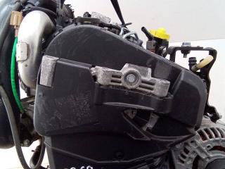 защита (кожух) ремня ГРМ Renault Twingo 2 поколение [рестайлинг] 2011, 1.5 л., дизель, МКПП