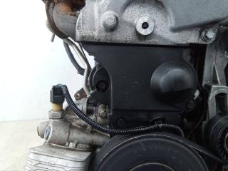 защита (кожух) ремня ГРМ Renault Twingo 2 поколение 2009, 1.2 л., бензин, МКПП