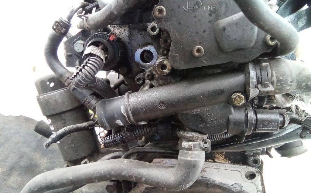 корпус термостата Volkswagen Golf 4 поколение 2002, 1.9 л., дизель, МКПП - фото №1