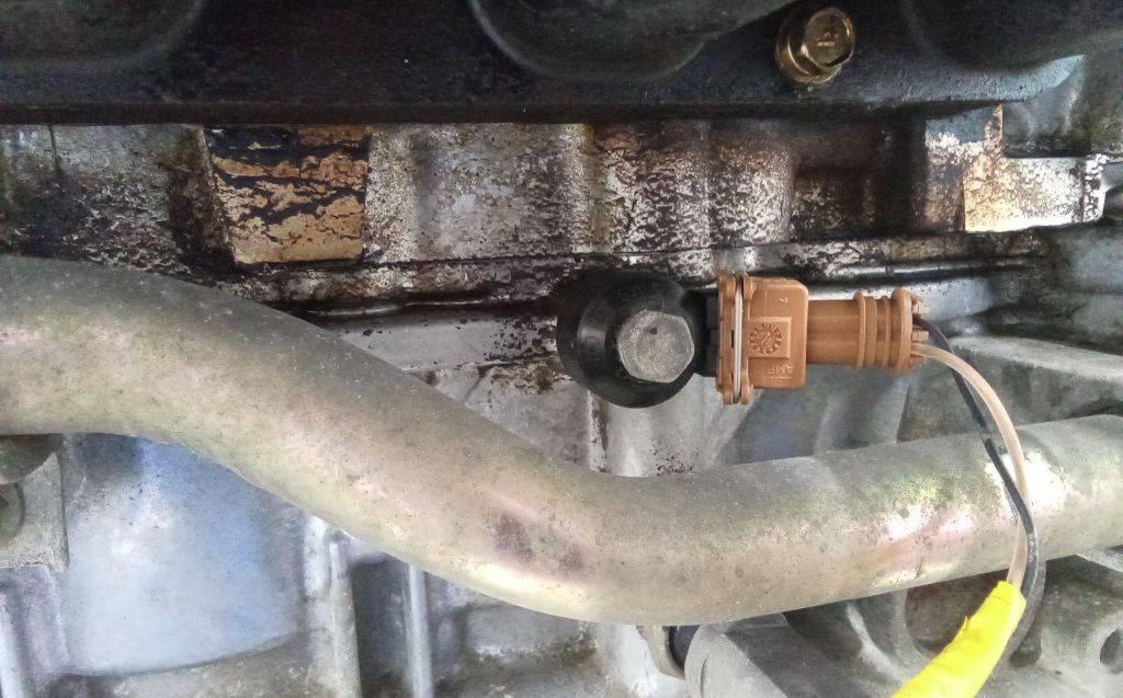 датчик детонации Nissan Note E11 2005, 1.4 л., бензин, МКПП - фото №1