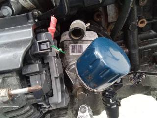 теплообменник масляного фильтра Renault Megane 3 поколение 2011, 1.5 л., дизель, МКПП, 779744