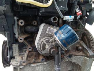 теплообменник масляного фильтра Renault Megane 3 поколение 2008, 1.5 л., дизель, 779744