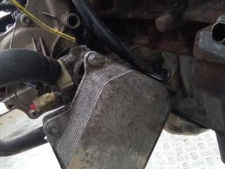 теплообменник масляного фильтра Peugeot Boxer 3 поколение 2007, 2.2 л., дизель, МКПП, 6790875821, 6C106B624AC