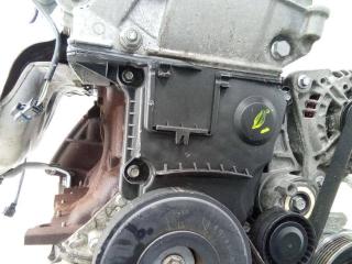 защита (кожух) ремня ГРМ Renault Clio 3 поколение 2008, 1.6 л., бензин, МКПП