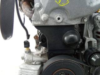 защита (кожух) ремня ГРМ Renault Clio 3 поколение [рестайлинг] 2009, 1.2 л., бензин, МКПП