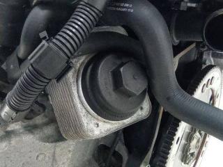 теплообменник масляного фильтра Porsche Cayenne 957 [рестайлинг] 2007, 3.6 л., бензин, АКПП, 038117061