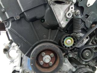 защита (кожух) ремня ГРМ Peugeot 406 1 поколение [рестайлинг] 2000, 3.0 л., бензин, МКПП