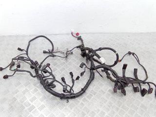 проводка двигателя Porsche Cayenne 957 [рестайлинг] 2007, 3.6 л., бензин, АКПП