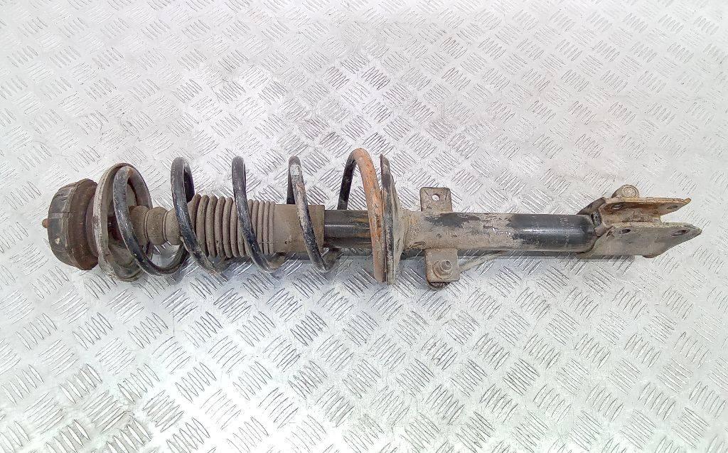 амортизатор задний Renault Duster 1 поколение 2011, 8200811407 - фото №1