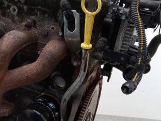 щуп двигателя Opel Astra G 1998, 1.6 л., бензин, АКПП