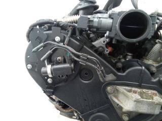 защита (кожух) ремня ГРМ Peugeot 607 1 поколение [рестайлинг] 2009, 2.7 л., дизель, АКПП