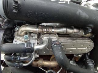охладитель EGR / Радиатор EGR Volkswagen Touran 1 поколение [рестайлинг] 2006, 1.9 л., дизель, МКПП, 038131513