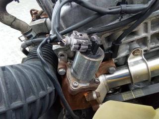 клапан EGR SsangYong Rexton Y250 2007, 2.7 л., дизель, АКПП, A6651400560