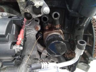 теплообменник масляного фильтра Renault Megane 2 поколение [рестайлинг] 2007, 1.9 л., дизель