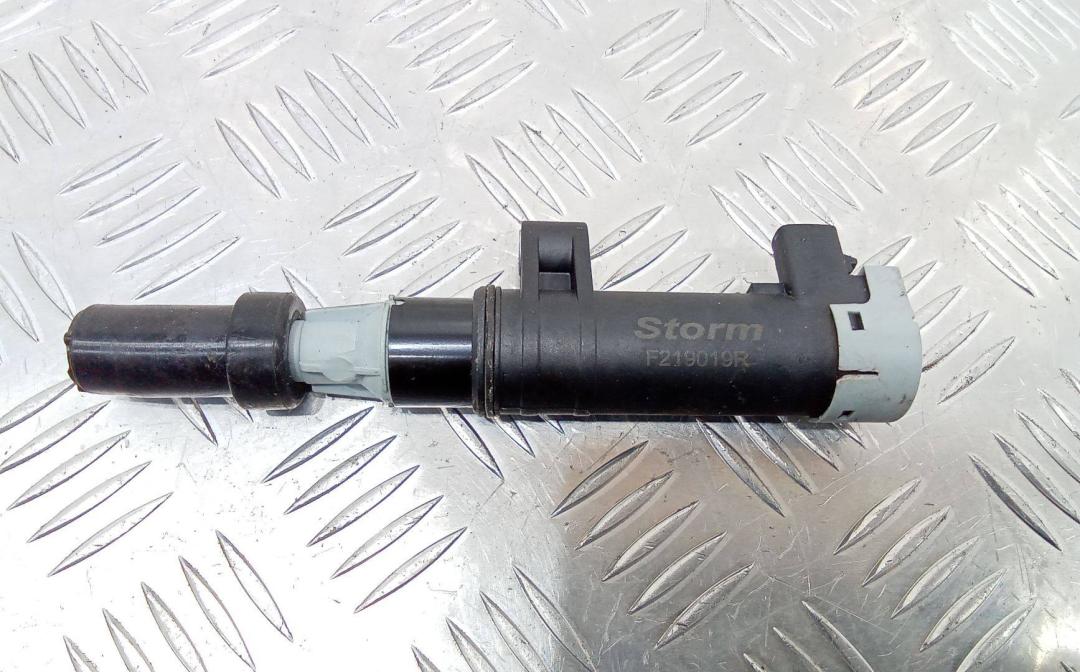 катушка зажигания Renault Laguna 2 поколение 2003, F219019R - фото №1