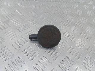 маслоотделитель (сапун) Renault Kangoo 2 поколение 2008, 3911171924