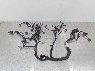 проводка двигателя Audi A6 4B/C5 [рестайлинг], 2.0 л., дизель, 05L971595AD