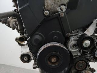 защита (кожух) ремня ГРМ Peugeot 806 221 [рестайлинг] 2000, 2.0 л., дизель