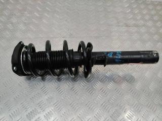 амортизатор передний левый Audi S3 8P 2006, 757327L, L10021