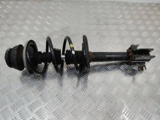 амортизатор передний Dacia Sandero 2 поколение 2013, 543029731R