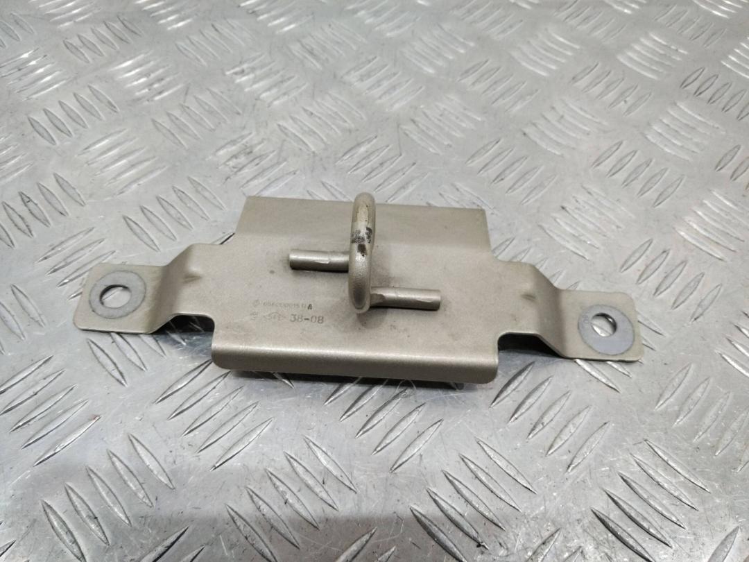 петля капота Renault Scenic 3 поколение 2010, 656200015R - фото №1