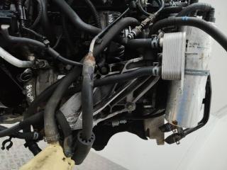 кронштейн двигателя Volkswagen Touareg 1 поколение 2004, 2.5 л., дизель, АКПП