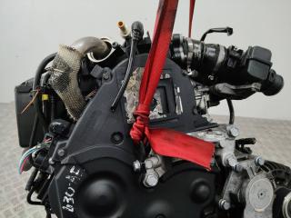 защита (кожух) ремня ГРМ Peugeot 207 1 поколение [рестайлинг] 2009, 1.6 л., дизель, МКПП, 9651560180