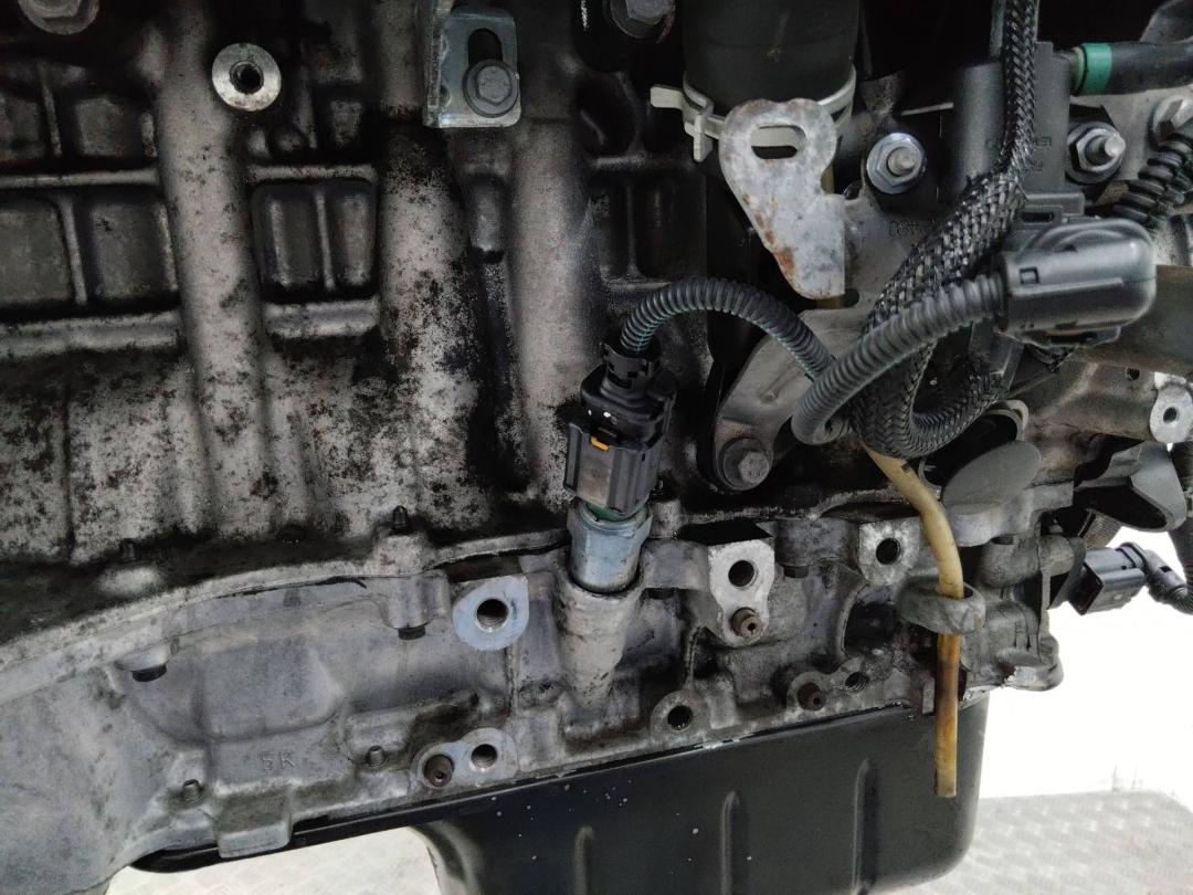 датчик уровня масла Citroen C4 2 поколение 2011, 1.6 л., дизель, МКПП - фото №1