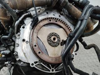 Маховик АКПП (драйв плата) Audi Q7 4L 2007, 3.0 л., BUG, дизель, АКПП, 059105323