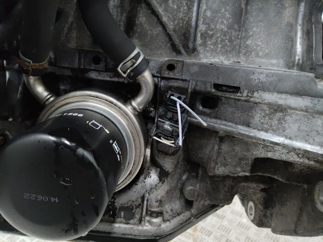 датчик уровня масла Renault Grand Scenic 3 поколение 2009, 2.0 л., M4R F 711, бензин, АКПП - фото №1