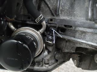 датчик уровня масла Renault Grand Scenic 3 поколение 2009, 2.0 л., M4R F 711, бензин, АКПП