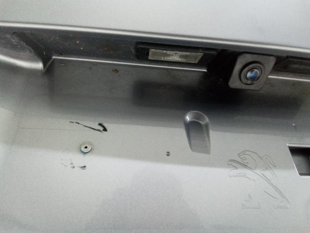 подсветка номера Peugeot 3008 2 поколение 2017 - фото №1