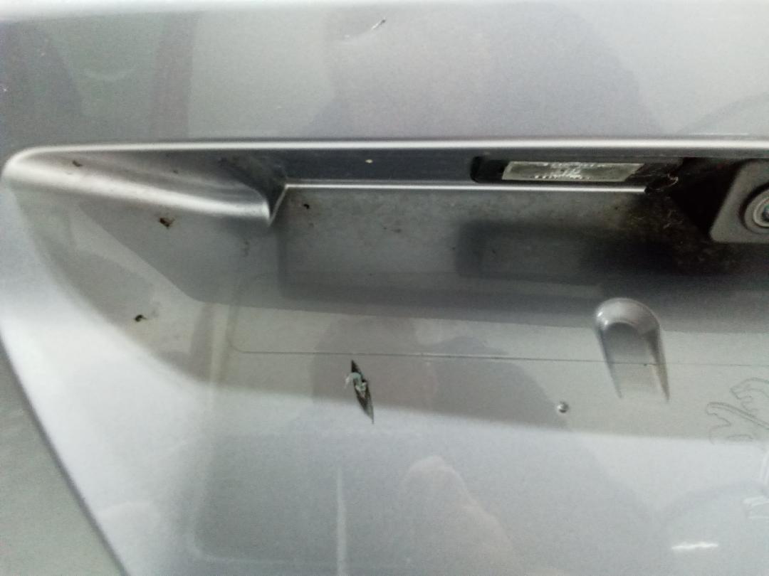 подсветка номера Peugeot 3008 2 поколение 2020 - фото №1