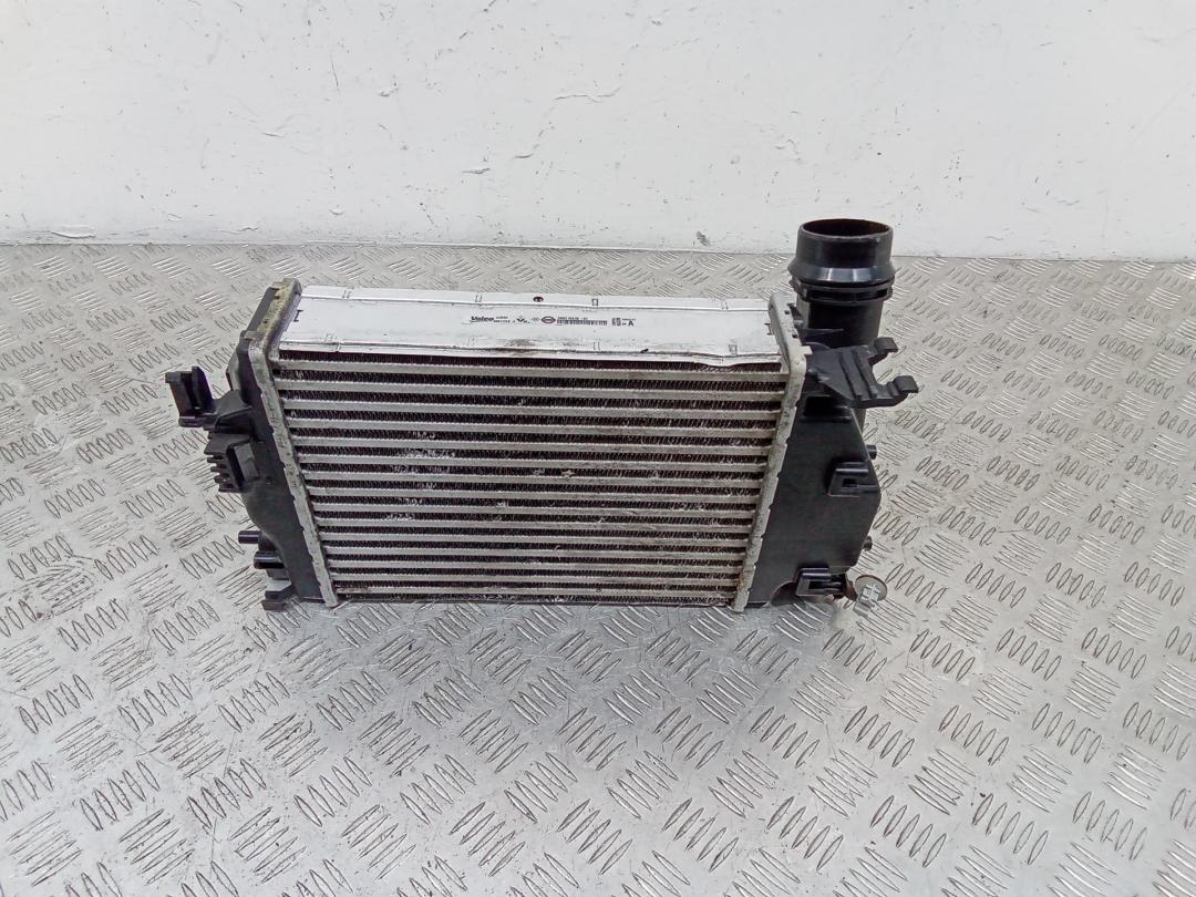 интеркулер Renault Megane 4 поколение 2016, 144614EA1B - фото №1