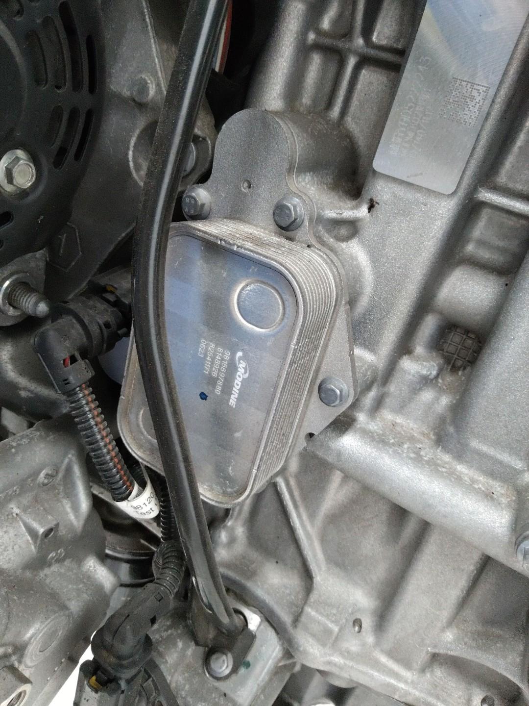 теплообменник масляного фильтра Peugeot 208 2 поколение 2019, 1.2 л., бензин, МКПП, 9815697880 - фото №1