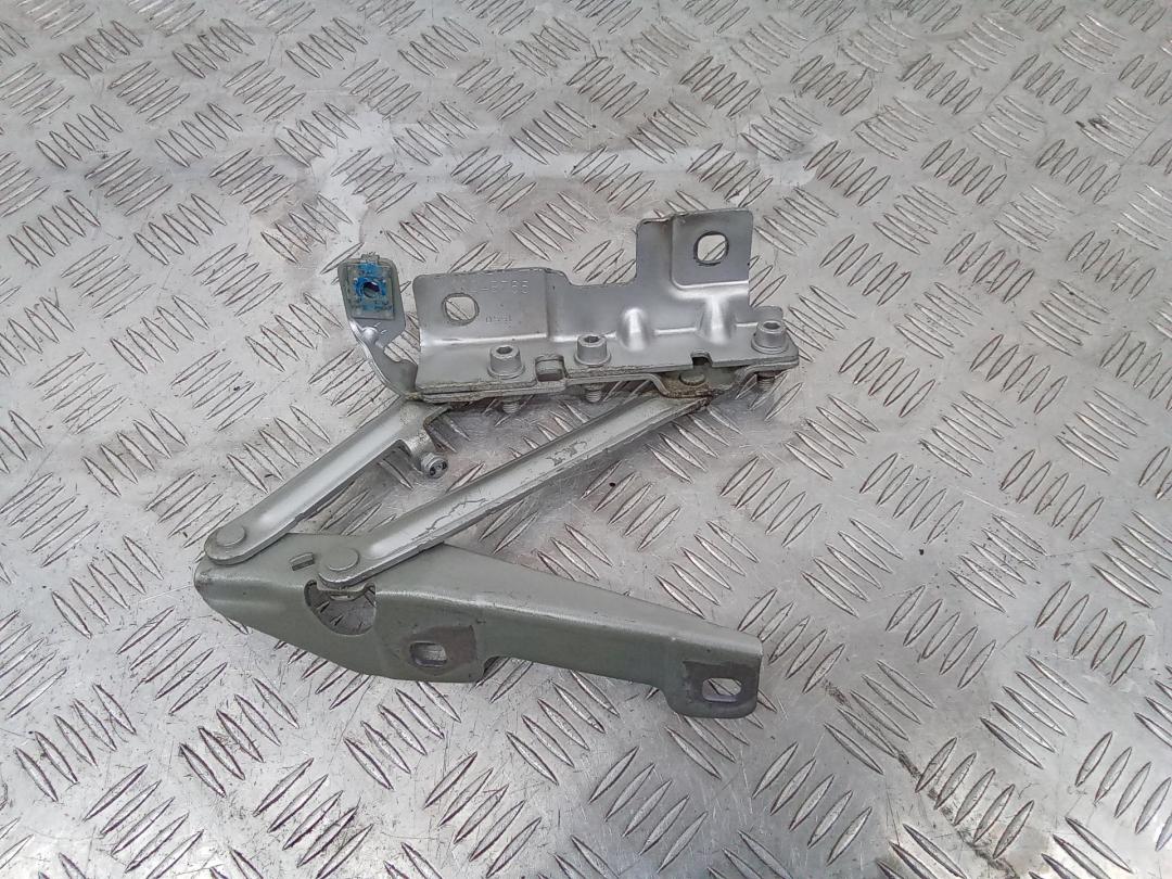 петля капота левая Opel Insignia 1 поколение (A) 2010, 12841600, 13248765 - фото №1