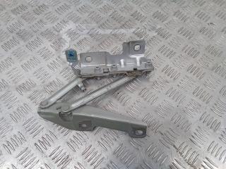 петля капота левая Opel Insignia 1 поколение (A) 2010, 12841600, 13248765