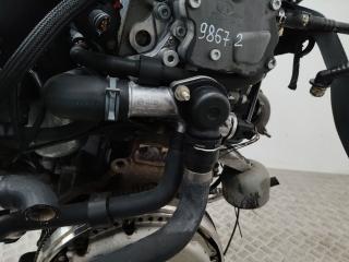 корпус термостата Volkswagen Passat B5 [рестайлинг] 2002, 1.9 л., AVB, дизель, МКПП, 038121133A