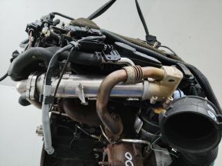 охладитель EGR / Радиатор EGR Audi A4 B8/8K 2008, 2.0 л., дизель, МКПП, 03L131312