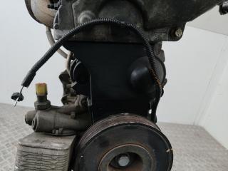 защита (кожух) ремня ГРМ Renault Clio 3 поколение 2008, 1.2 л., D4F 784, бензин, МКПП