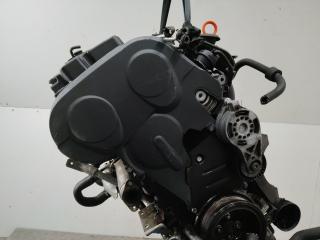 защита (кожух) ремня ГРМ Volkswagen Touran 1 поколение [рестайлинг] 2007, 2.0 л., дизель, МКПП