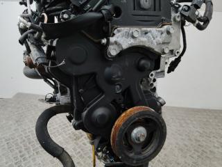 защита (кожух) ремня ГРМ Peugeot 208 1 поколение 2012, 1.4 л., 8HR (DV4C), дизель