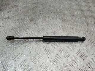 амортизатор капота BMW X5 E53 [рестайлинг] 2005, 51238402551