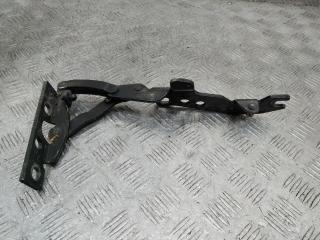 петля капота правая BMW X5 E53 [рестайлинг] 2005, 41618402174