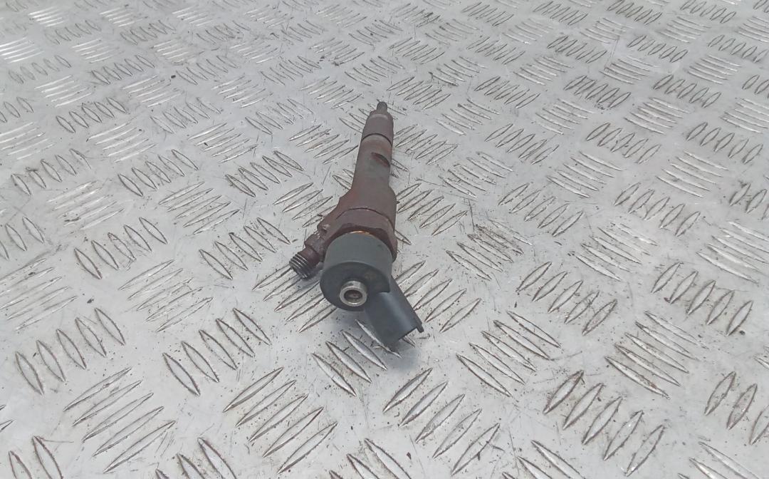 форсунка Renault Scenic 2 поколение 2005, 1.9 л., дизель, МКПП, 8200100272 - фото №1