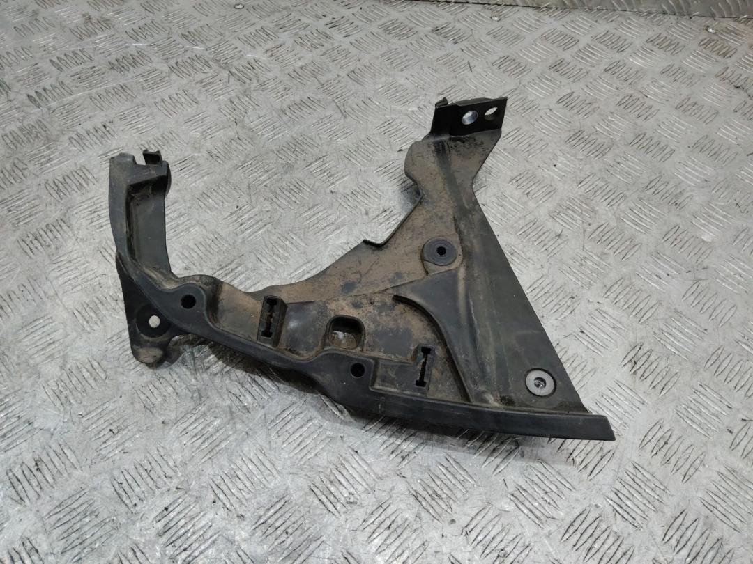 уголок жабо правый Renault Scenic 4 поколение 2017, 668623817R - фото №1