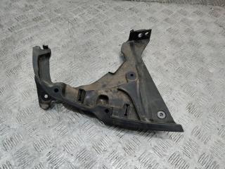 уголок жабо правый Renault Scenic 4 поколение 2017, 668623817R