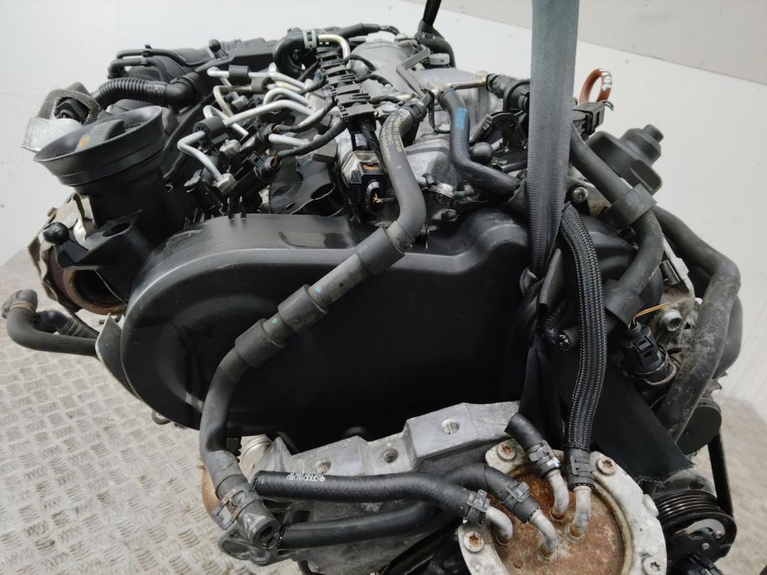 защита (кожух) ремня ГРМ Volkswagen Passat B6 2009, 2.0 л., дизель, МКПП - фото №1